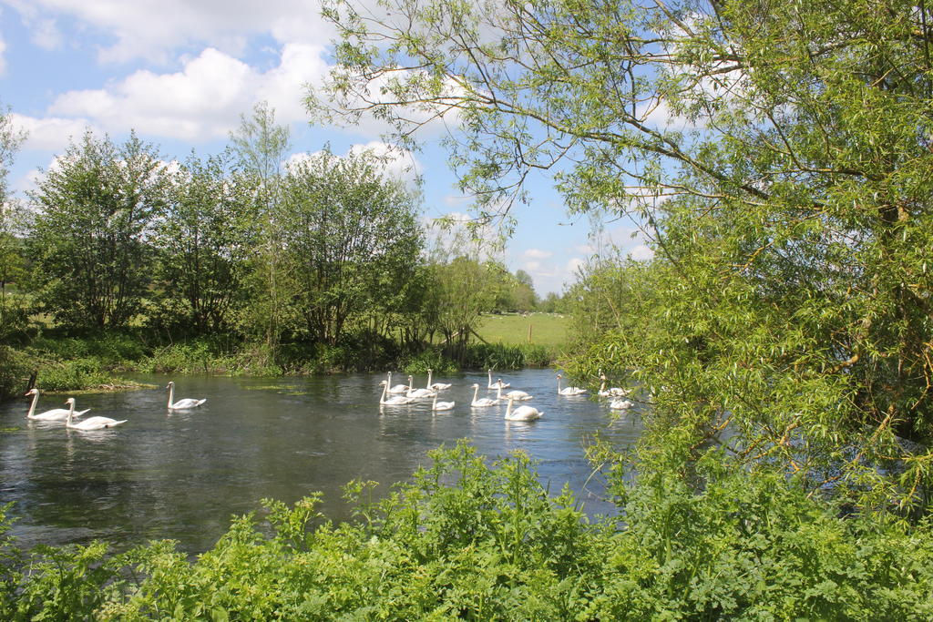 The Swan At Stoford Ξενοδοχείο Stapleford  Εξωτερικό φωτογραφία