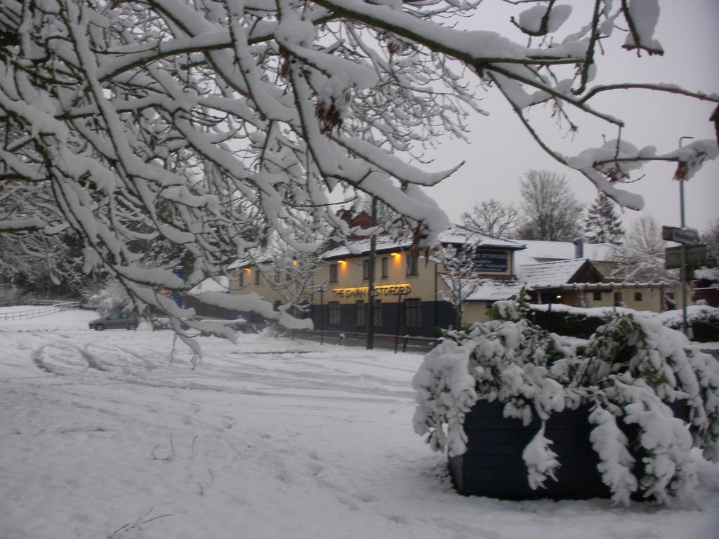 The Swan At Stoford Ξενοδοχείο Stapleford  Εξωτερικό φωτογραφία